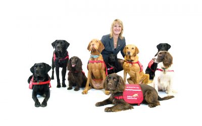 medical detection dogs charity fighting disease