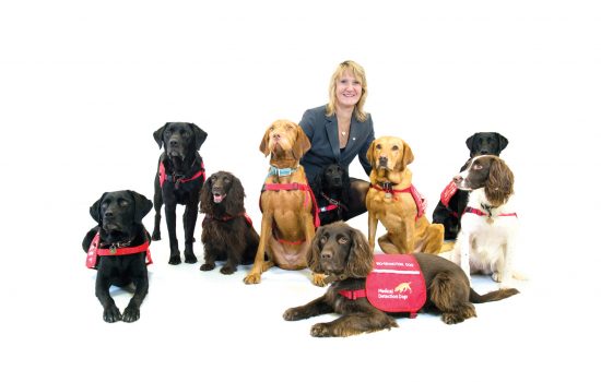 medical detection dogs charity fighting disease