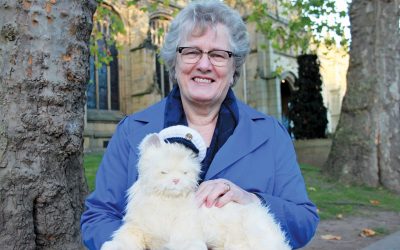 robotic cat easing dementia