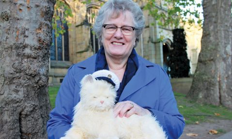 robotic cat easing dementia