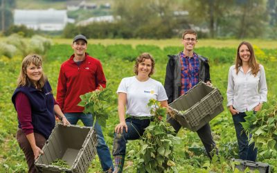 rotary members volunteering