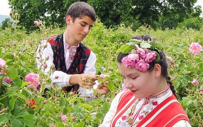 the baba project flower picking