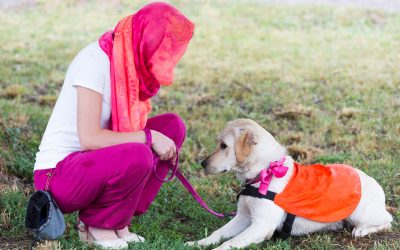 guide dog and woman on a walk