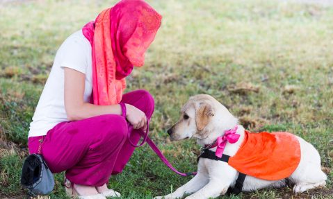 guide dog and woman on a walk