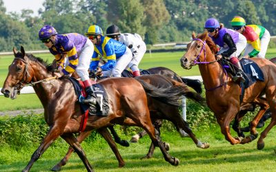 horse racing racecourse field competition bets