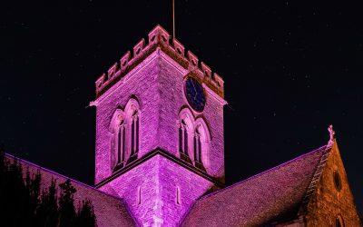 end polio now world polio day rotary purple illumination
