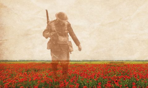 poppy field wwi soldier