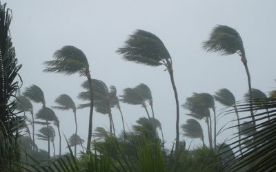 cyclone idai