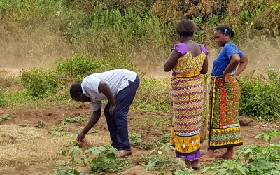 kenya farming project rotary foundation