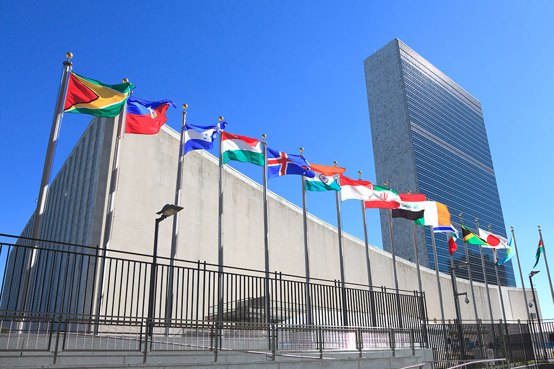 The united nations organization презентация