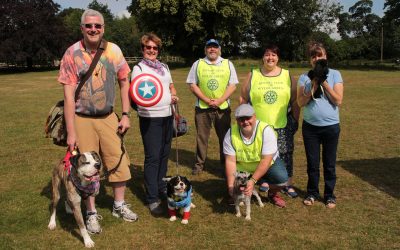 indogdependence day sutton park