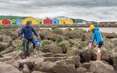 beach clean