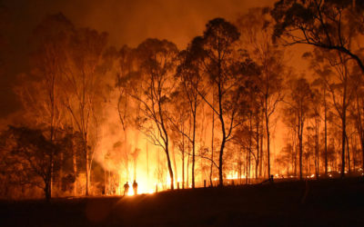 australia bushfires