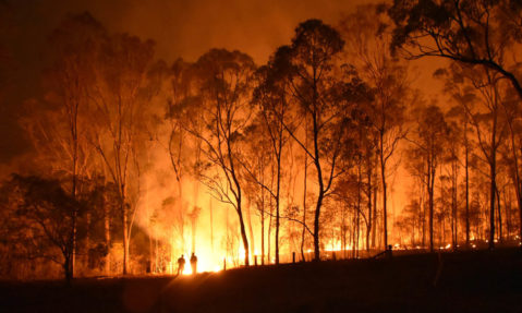 australia bushfires