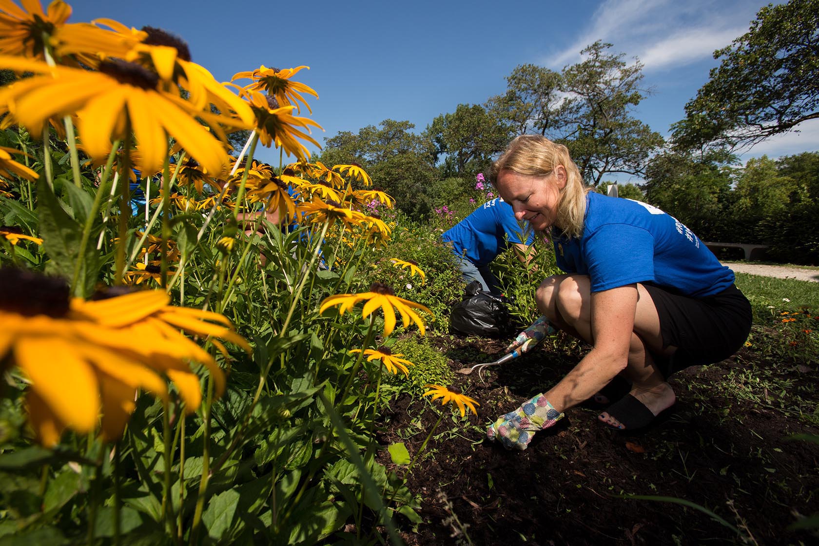 rotary environment