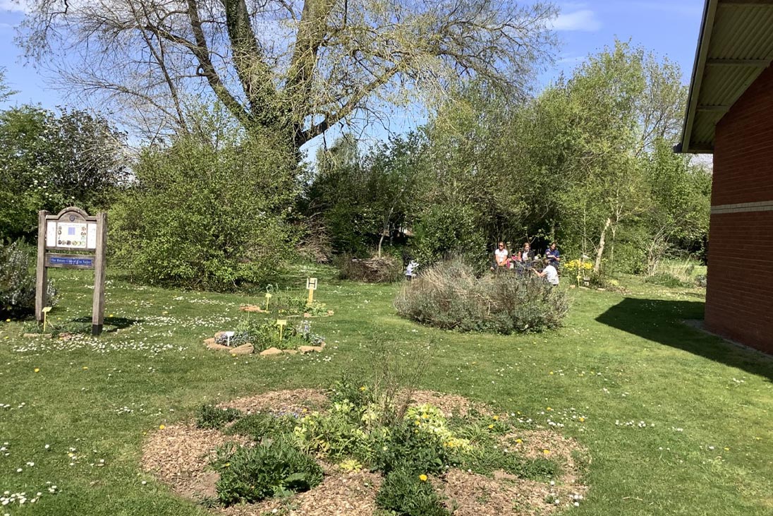 The Tiverton Hospital Wildlife Garden