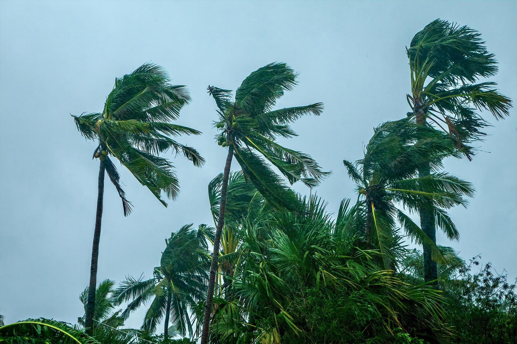typhoon philippines