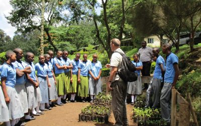 tree planting tanzania