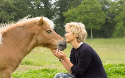 jenny seagrove